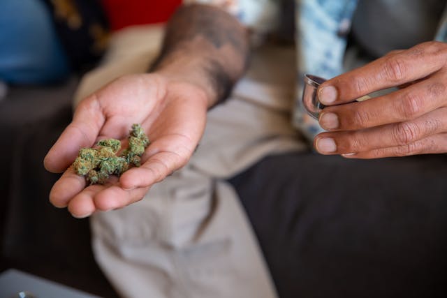 Individuals Exploring Medical Marijuana